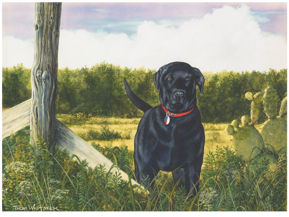 Beau the Black Lab with white edges and edits.jpg