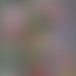 Fate Universe aka.Nasuverse [2026]: A Complete Guide to Fate Timelines, Magic, and Multiverse Logic