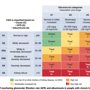 OSCE Internal Medicine: Chronic Kidney Disease (CKD) in a Diabetic Patient