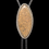 Thumbnail: Fossilized Dinosaur Bone