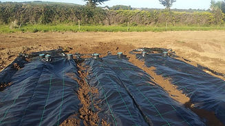 Stone Soil Percolation Area, Cork