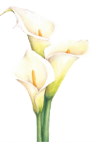 Screenshot 2022-07-19 at 15.07.54.png