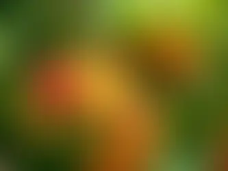 Rambutan Processing Plant Cost 2025: Industry Trends, Machinery and Raw Materials