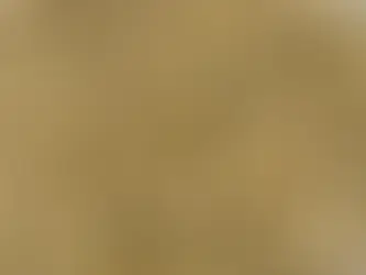 Bamboo Pellets Manufacturing Plant Project Reports 2025: Growth Drivers and Business Opportunities