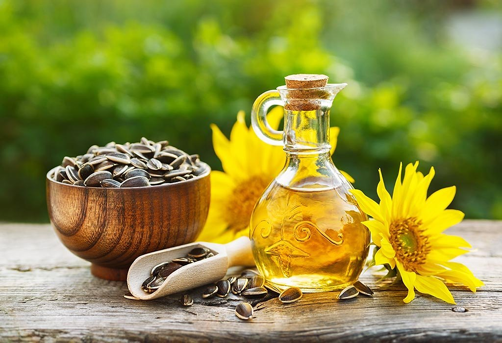 Edible Oil Manufacturing Plant