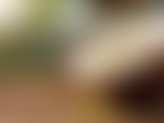 Detailed Report on Coconut Oil Processing Plant Setup Cost 2026: Layout and Raw Material