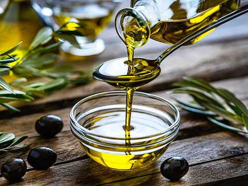 Edible Oil Manufacturing Plant