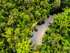 Estudo inédito revela que a Amazônia está perdendo superfície de água