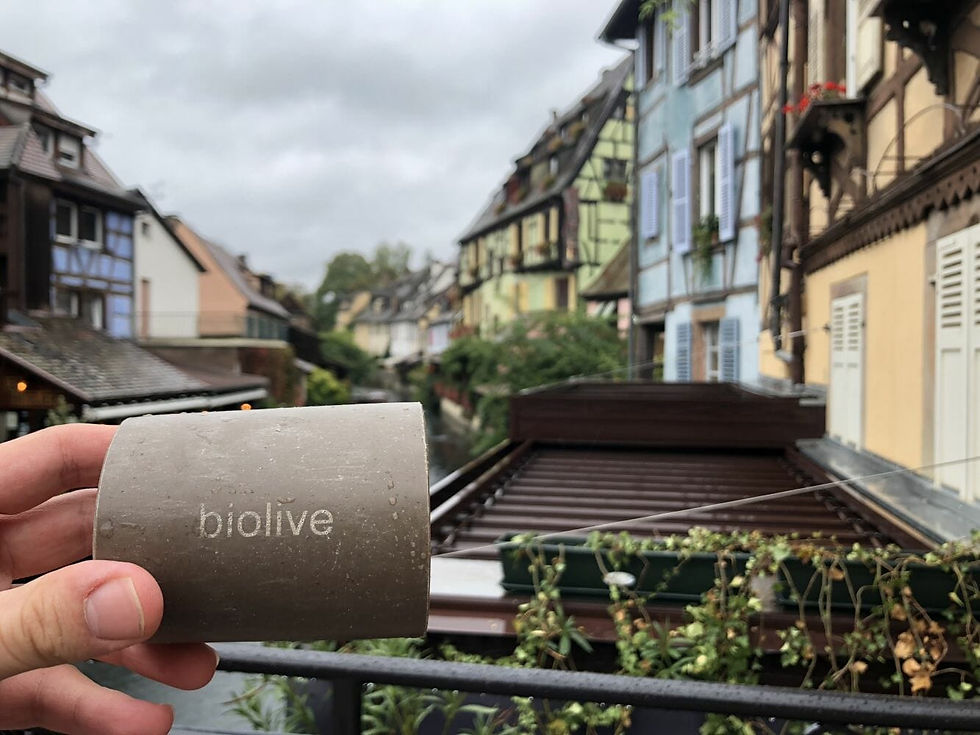 ‘Plástico’ feito de caroço de azeitona leva um ano para se decompor