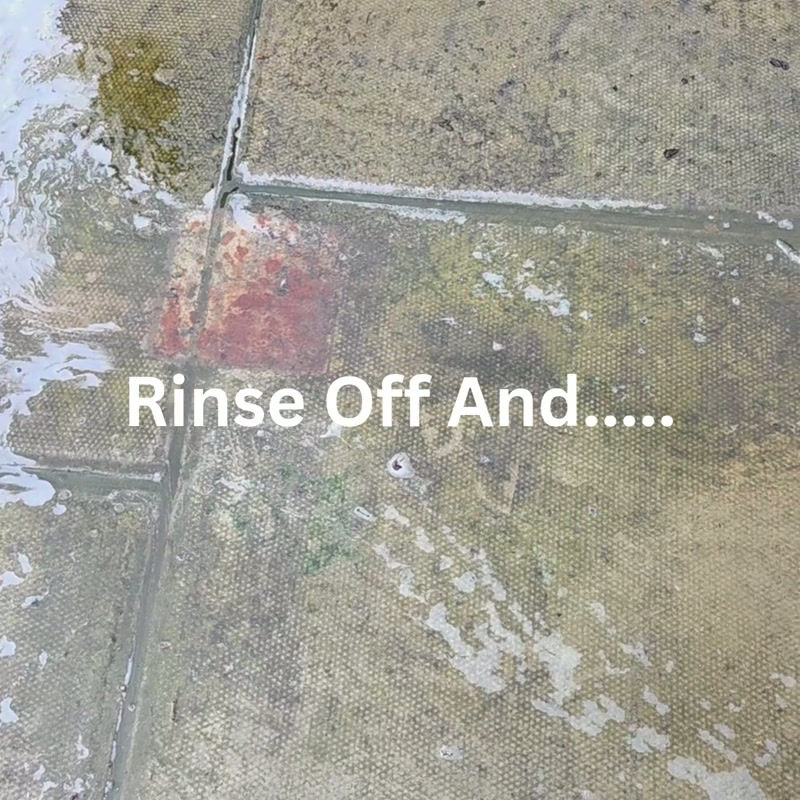Thumbnail: Millwood Manufacturing Green Mould & Algae Killer, Concentrated Disinfectant
