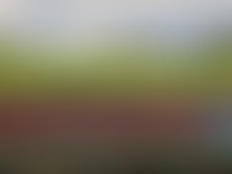 Aktive – Pokaltriumph in Freudenstadt