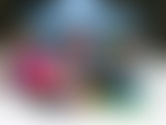 Nächster Halt Kniebis – Überzeugend auf bekanntem Terrain