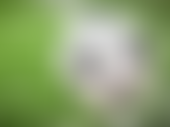 Aktive: Unterschiedliche Gefühlswelten nach Auswärtsspiel in Dornstetten