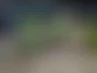 Sportabzeichen 2020 übergeben