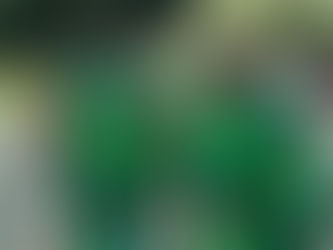 Fußballjugend startet wieder durch