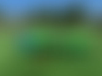 Jugendfußball – Erster Titel eingefahren