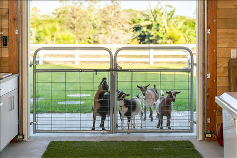 045-2725 Coach House Lane Naples, FL 34105-22.jpg