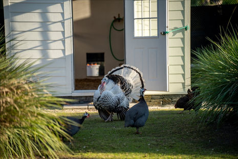 047-2725 Coach House Lane Naples, FL 34105-17.jpg