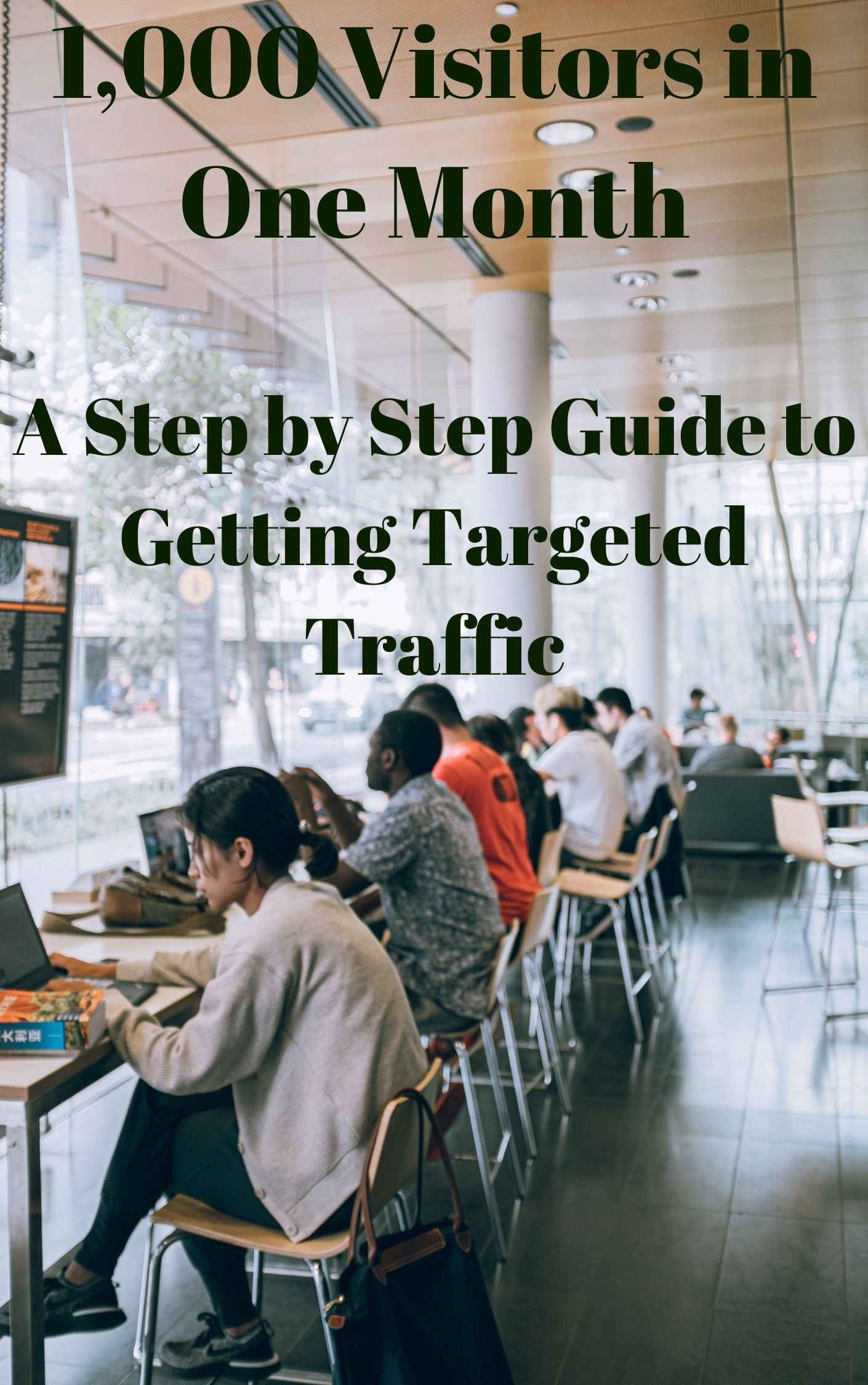 1,000 Visitors in One Month