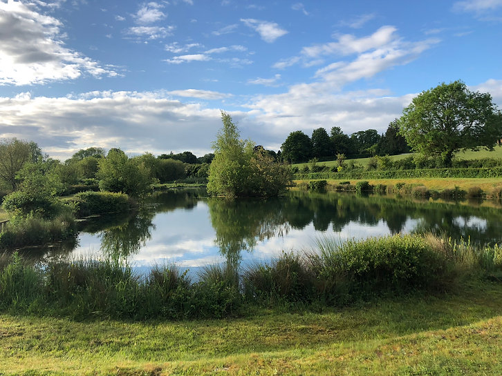 Fly Fishing UK