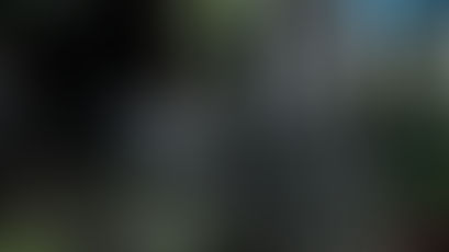 Gene’s Daily Scriptural Postings 
