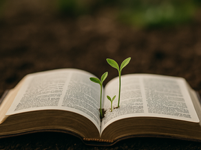 The Power of Stories