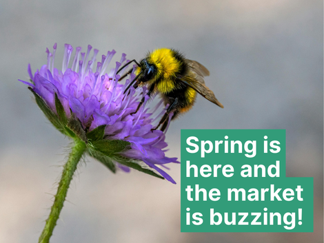 Spring Property Market