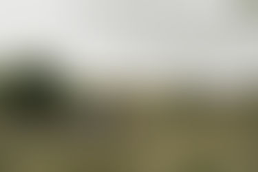 A Sydney-based creative couple's unexpected journey into ranching & climate activism in New Zealand