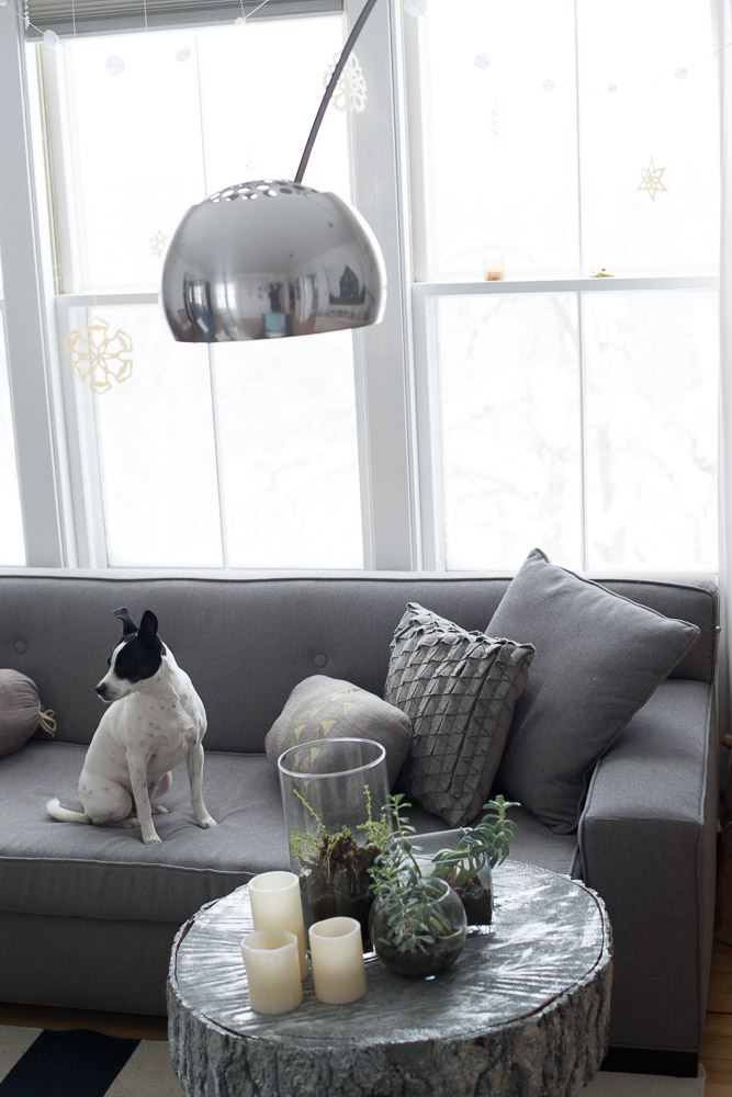 Advantages and disadvantages of living in the city essay image