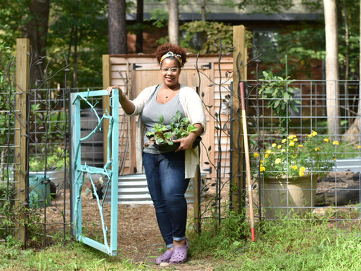 Erica Neal's Permaculture Suburban Haven outside of Durham, North Carolina