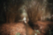 FullSizeRender(1).jpeg