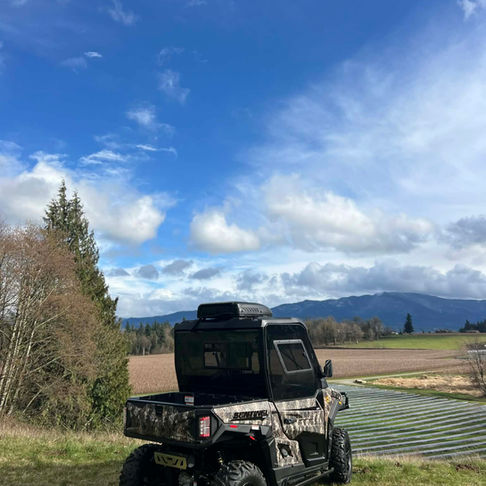 NW Cart King Golf Cart & Powersports Dealership near Lynden WA