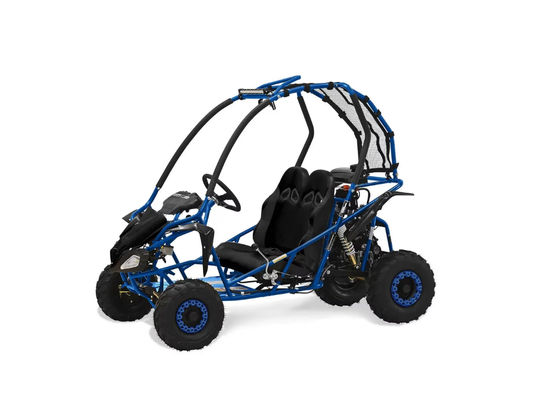 NW Cart King Massimo GKD 125 Go-karts for sale in Whatcom County WA