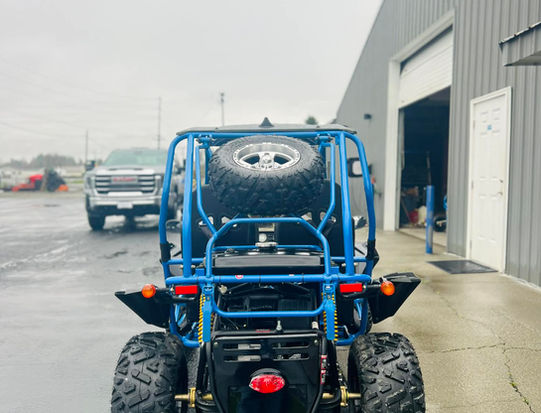 NW Cart King Massimo GKD 200S Go-karts for sale near Lynden WA
