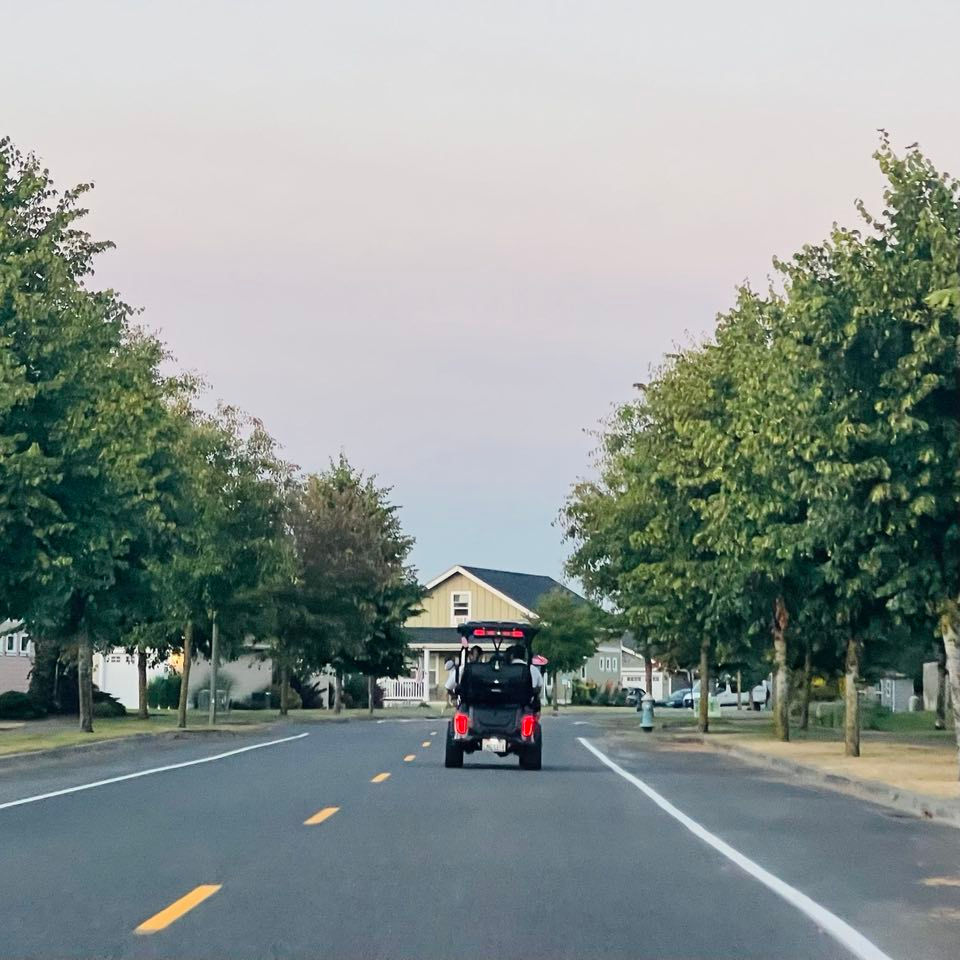 Street legal neighborhood electric golf carts at NW Cart King near Lynden WA
