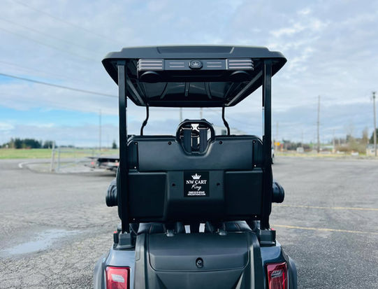 Evolution D5 Ranger 4 PLUS for sale at NW Cart King near Lynden WA