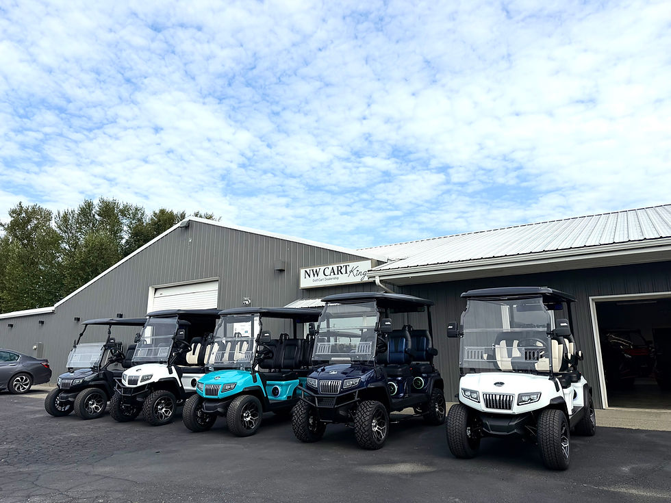 Evolution Electric Vehicles are BACK in stock at NW Cart King
