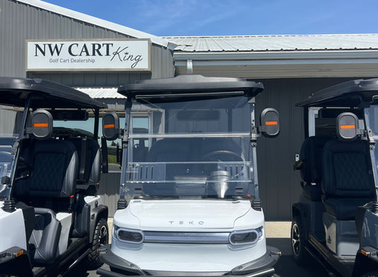 NW Cart King Teko Trophy street legal LSV golf cart in white near Bellingham WA