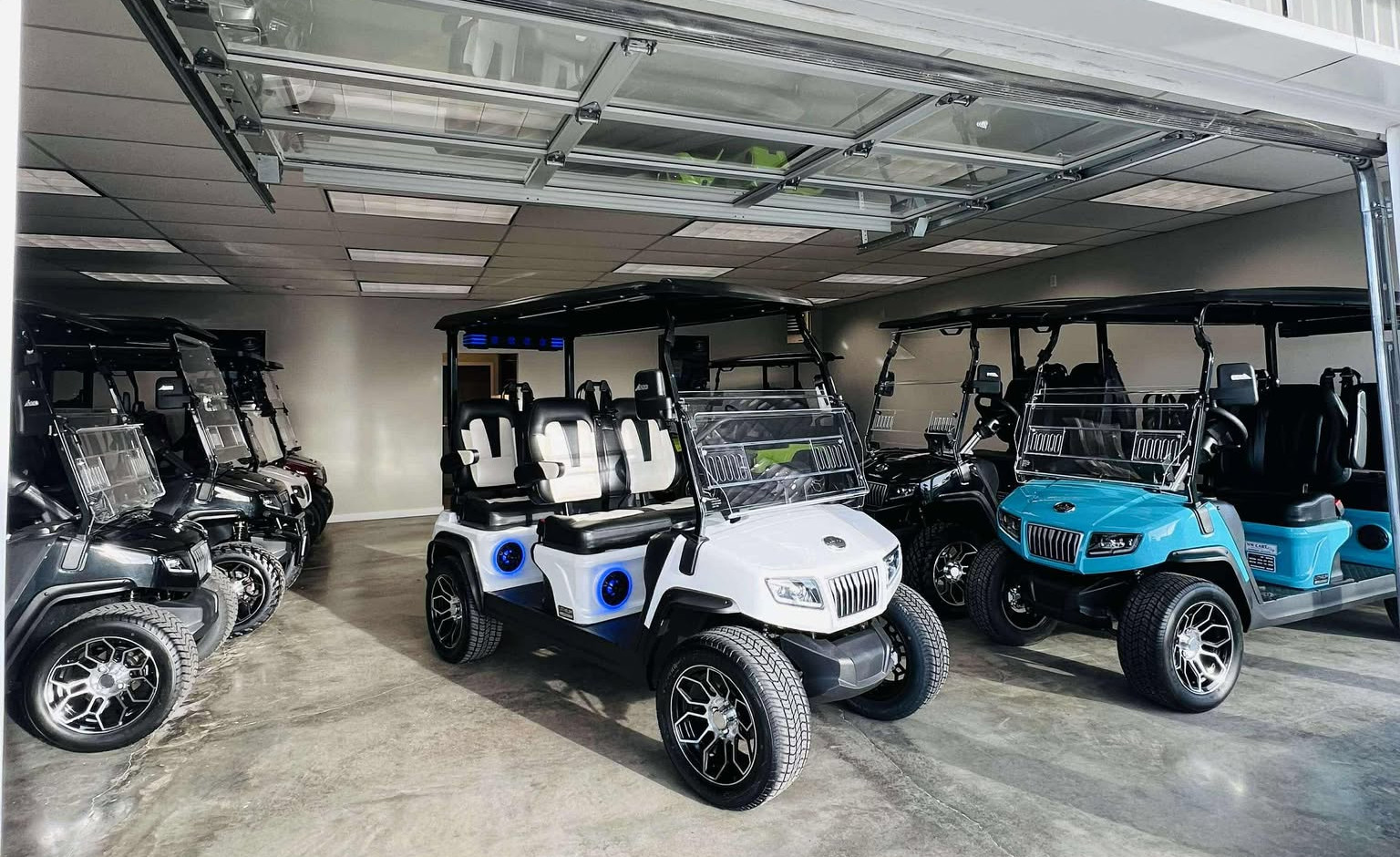 Evolution D5 Ranger 4 Plus for sale at NW Cart King near Lynden, WA
