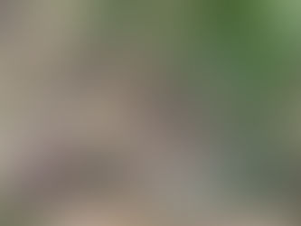 HIDDEN PATHS - Behind The Scenes