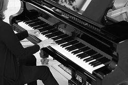THOMAS MANN & BEETHOVEN'S SONATA OPUS. 111 - CLAIRE PASQUIER & MATTHIAS FLÜCKIGER
