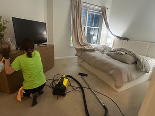 local cleaning experts taty cleaning services company