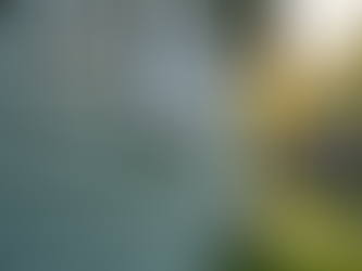 Siding Cost Breakdown: Understanding Your Investment