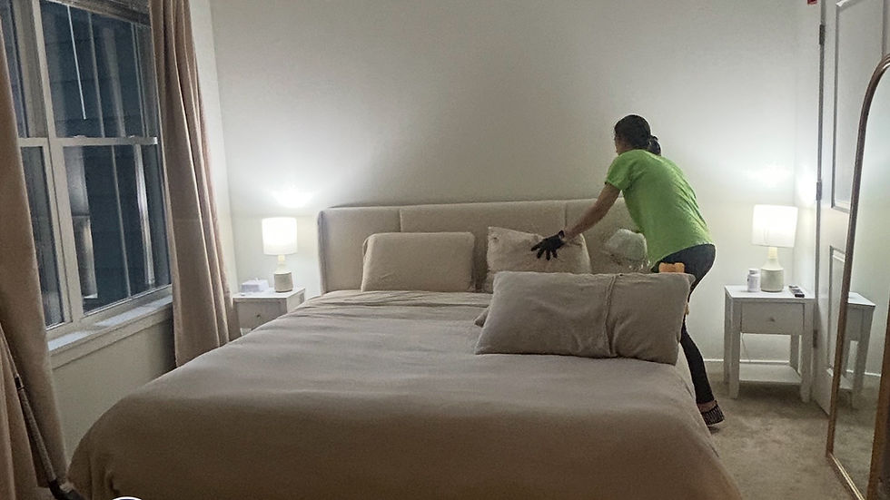 Eye-level view of a freshly cleaned modern living room with sunlight