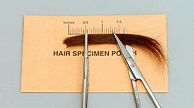 Hair sample measured on a specimen pouch for follicle test