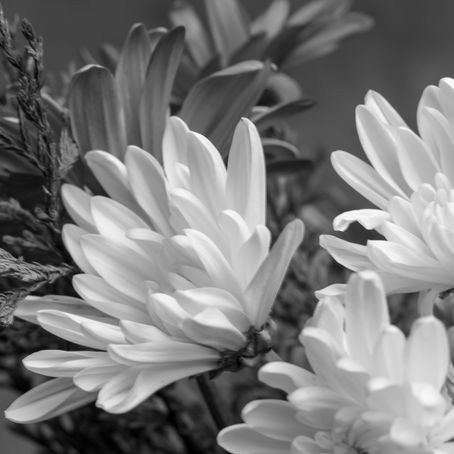 Changing the Face of Benzo Recovery!