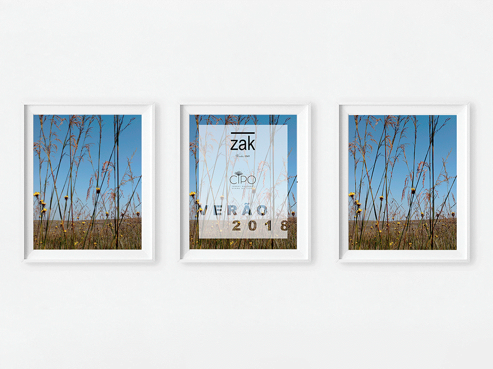 AD Revista GQ Brasil | Campanha Verão 2018 - Lojas ZAK