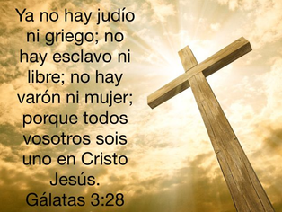 Del 3 al 8 de febrero!!