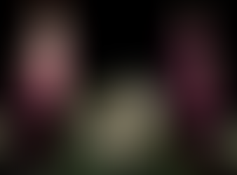 Del 2 al 7 de diciembre!!