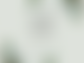 Del 2 al 7 de enero!!!